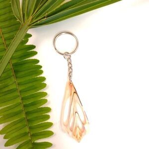 Seashell Keyring Slice Conch Seashell Clearwater Beach, Florida